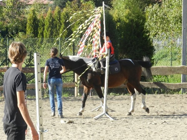 Babie Lato 2015